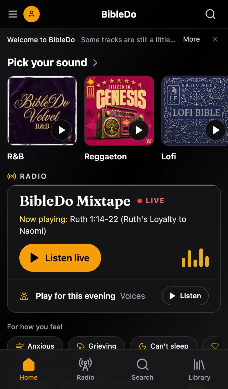 BibleDo on a phone