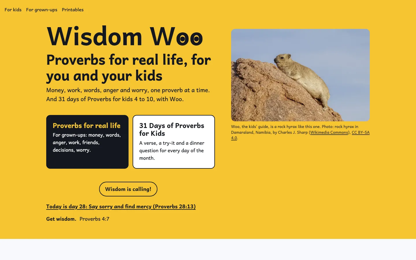 Wisdom Woo home page on a desktop screen